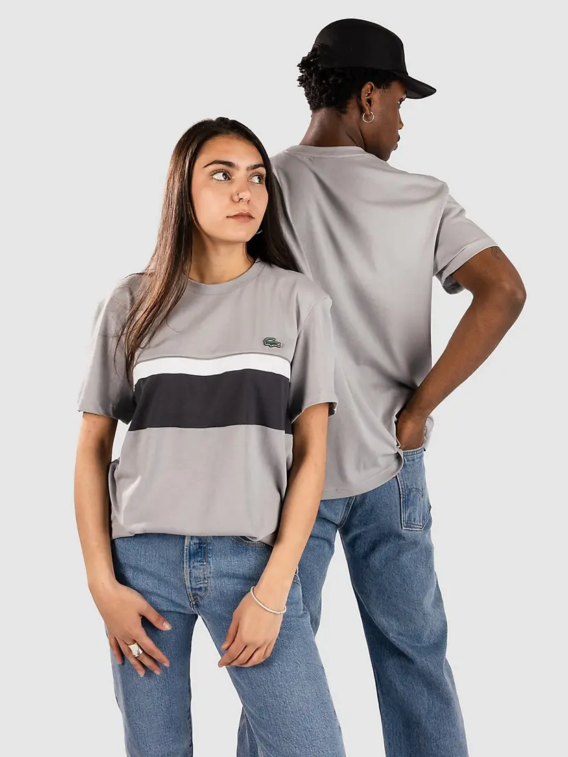 Lacoste Lacoste Regular Fit Colorblock Cotton T-skjorte grå
