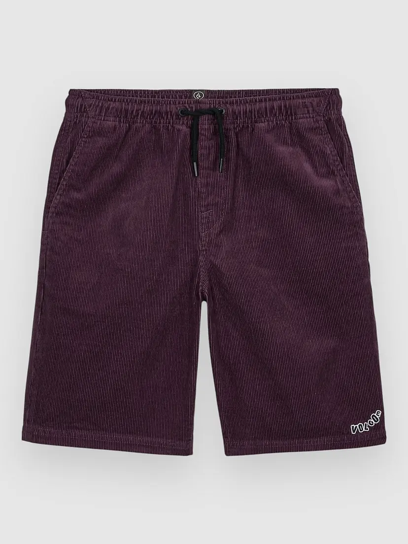 Volcom Volcom Outer Spaced Ew Cord Kids Shorts