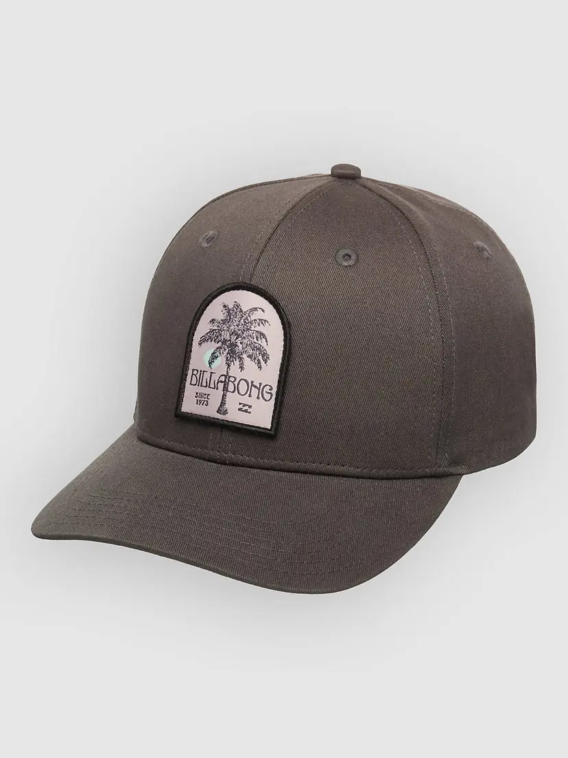 Billabong Billabong Patch Snapback Caps brun