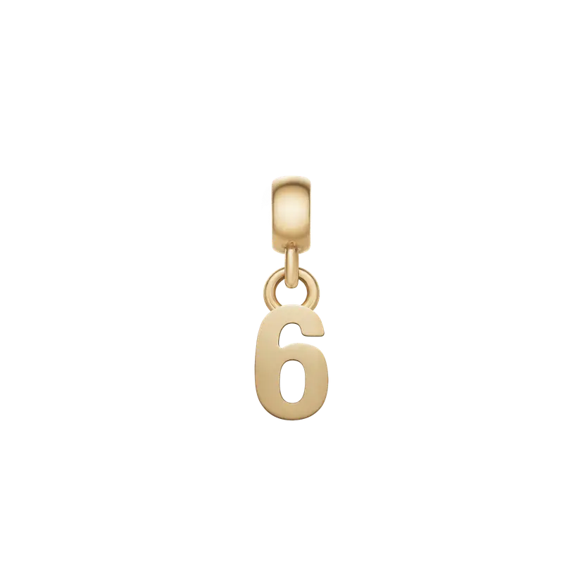 Daniel Wellington Gold Charm Number | DW