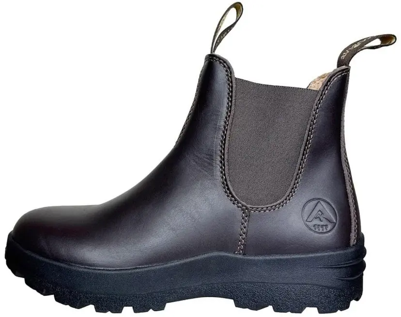 Avignon Avignon Darwin Jodhpurs lær Dark Brown