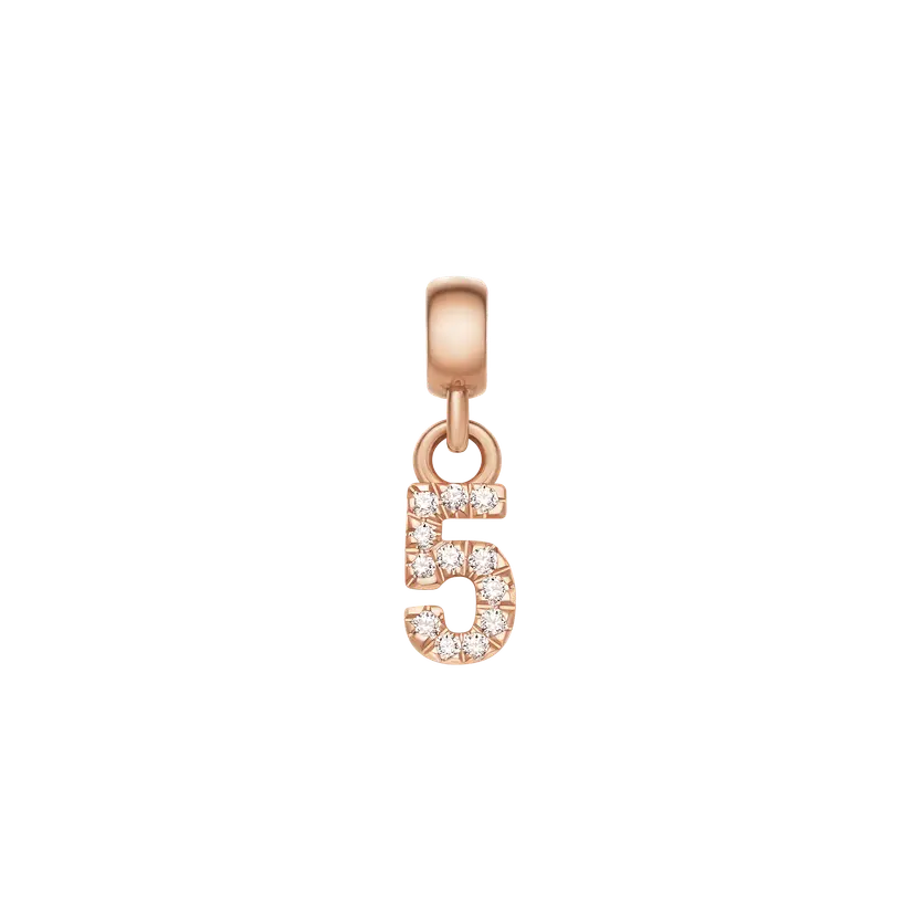 Daniel Wellington Rose Gold Charm Crystal Number | DW