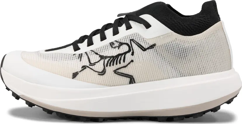 Arcteryx Arc'teryx Women's Sylan Pro Arctic Silk/arctic Silk