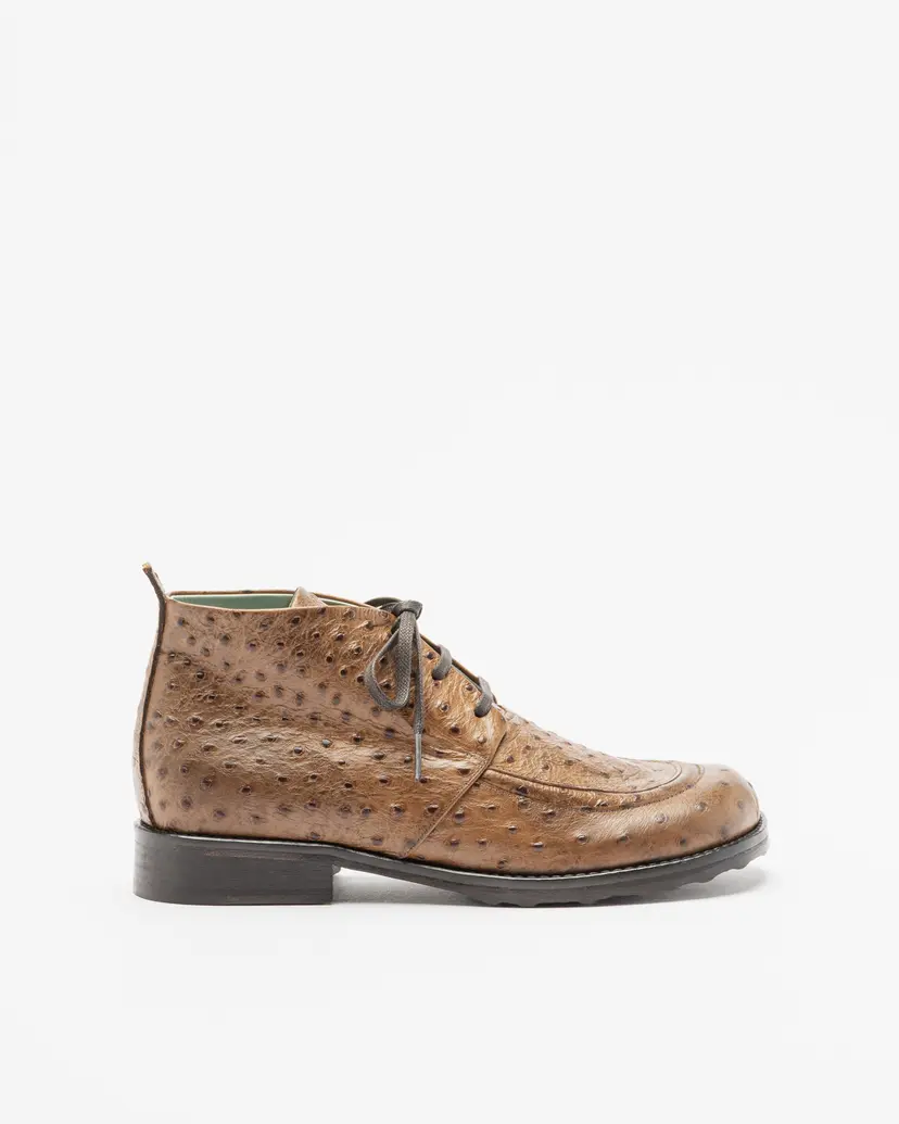 Malloni Malloni M25I96020 Camel Ankle Boots