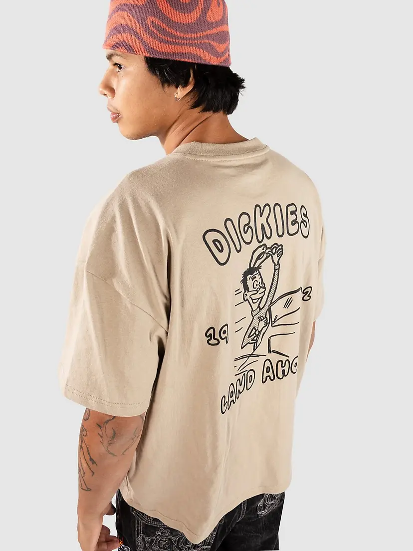 Dickies Dickies Decartuville T-skjorte brun