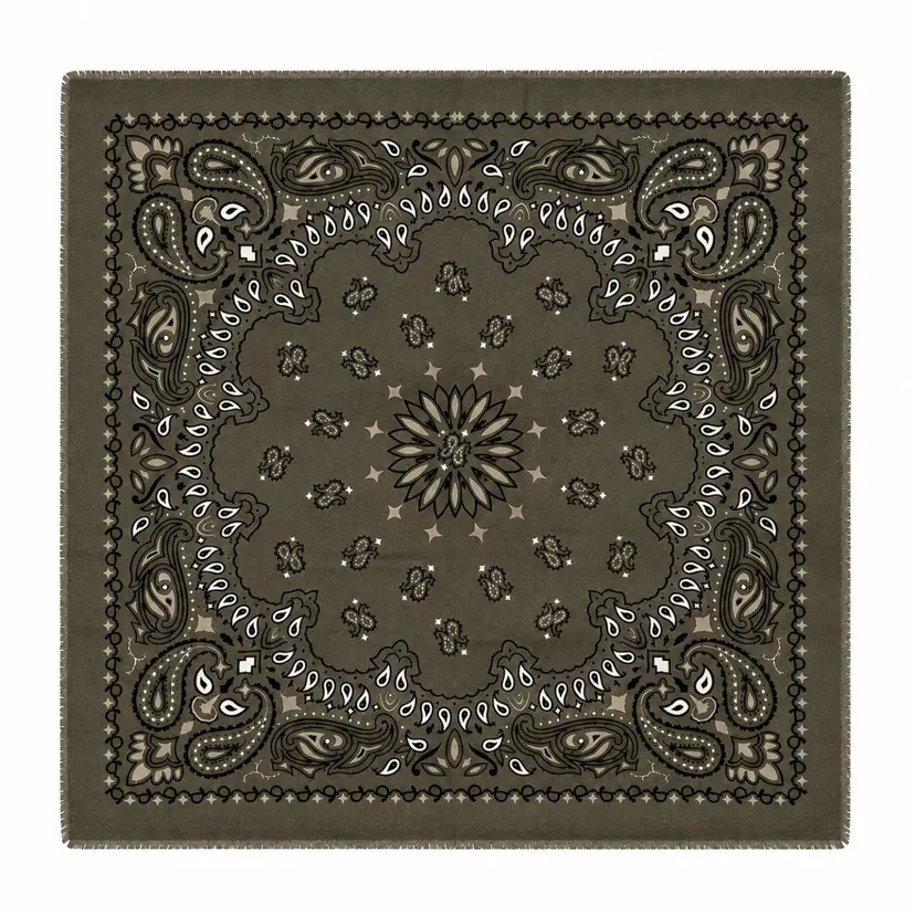 From Paris With Love Large Paisley Scarf Khaki