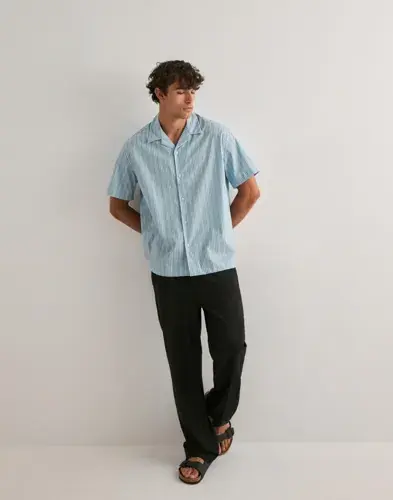Selected Men Selected Men Slhrlxholger Stripe Ss Shirt Stripete skjorter Blå