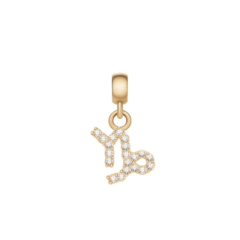 Daniel Wellington Gold Charm Crystal Zodiac | DW