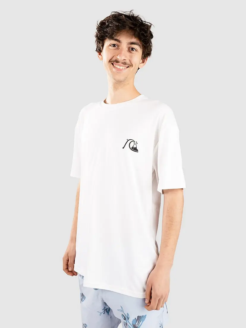 Quiksilver Quiksilver DNA Bubble Logo Lycra hvit