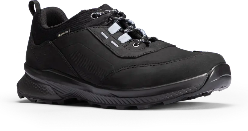 Hanwag Hanwag Men's Fortavo Low SF Extra GORE-TEX Black/Asphalt
