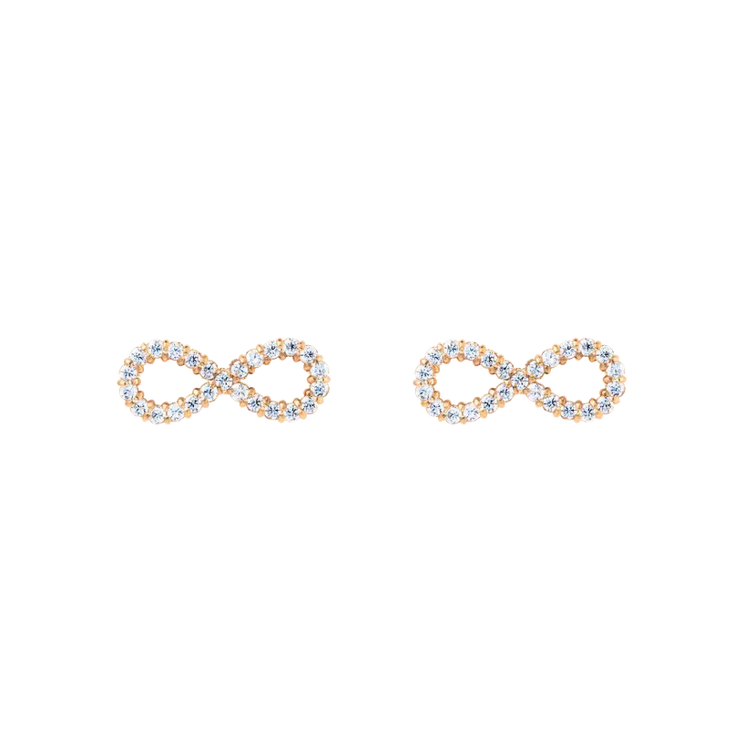 Daniel Wellington Rose Gold Earrings Mirelle Infinity | DW