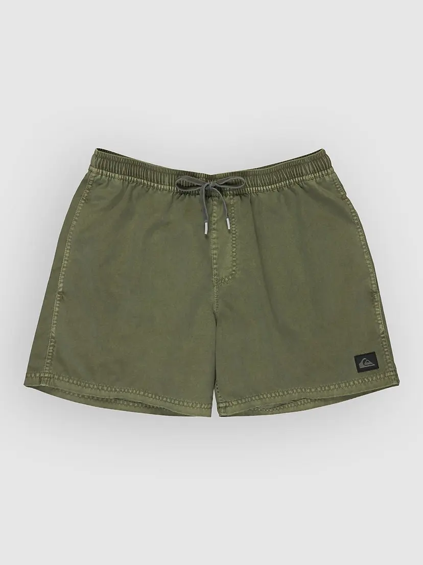 Quiksilver Quiksilver Everyday Surfwash Volley 15 Boardshorts grønn