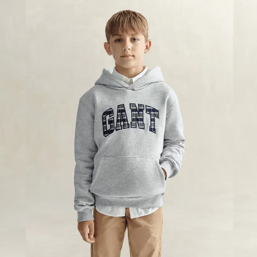 GANT Gant - Hettegenser Check Applique Grey Melange