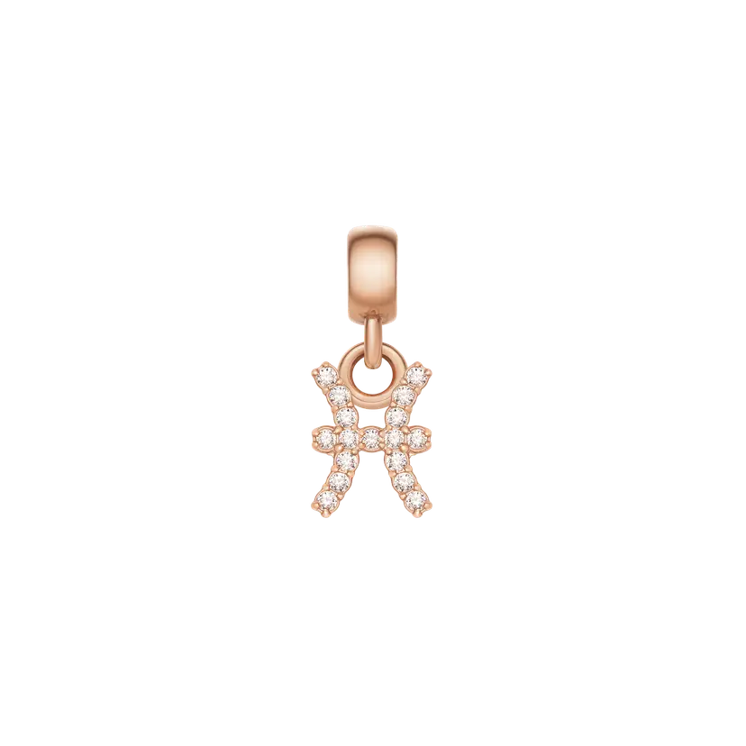 Daniel Wellington Rose Gold Charm Crystal Zodiac | DW