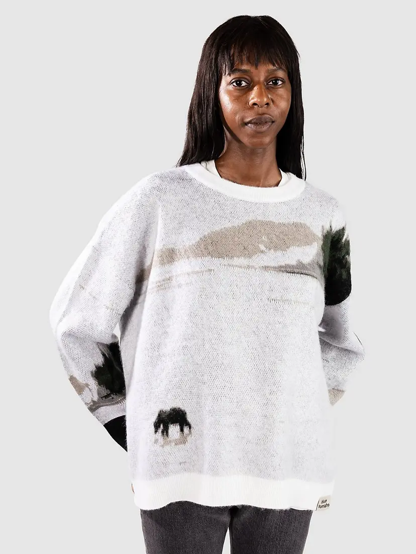 Blue Tomato Blue Tomato Fluffy Knit Strikket genser grå