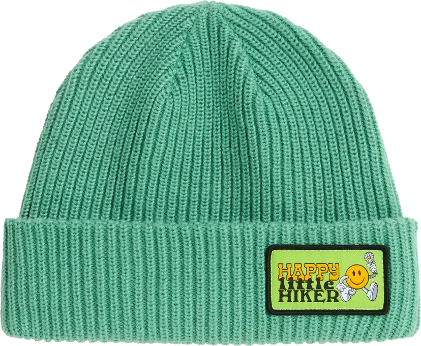 The North Face The North Face Kids' Salty Lined Beanie Dimmed Algae/Hike Patch