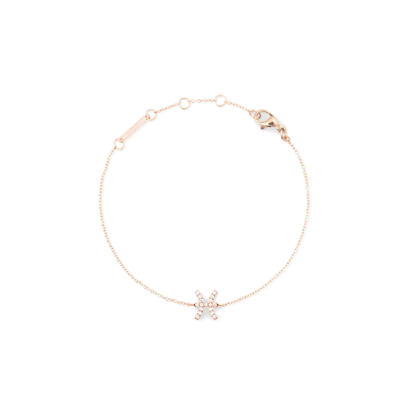 Daniel Wellington Rose Gold Bracelet Crystal Zodiac Chain | DW