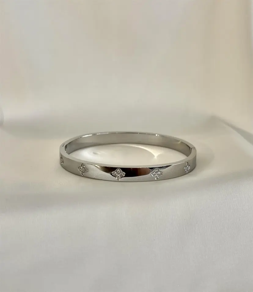 Aiyanna Ariel Bangle Bracelet - Silver