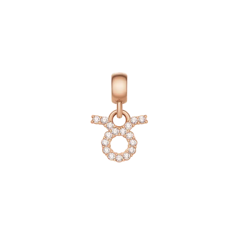 Daniel Wellington Rose Gold Charm Crystal Zodiac | DW