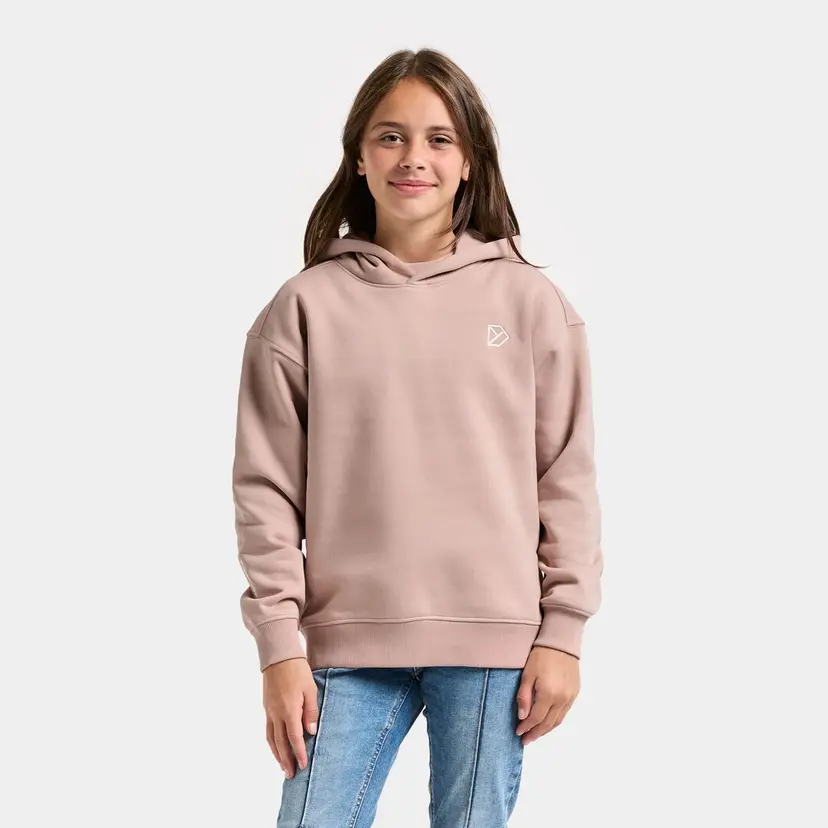 Didriksons Ven Kids' Hoodie