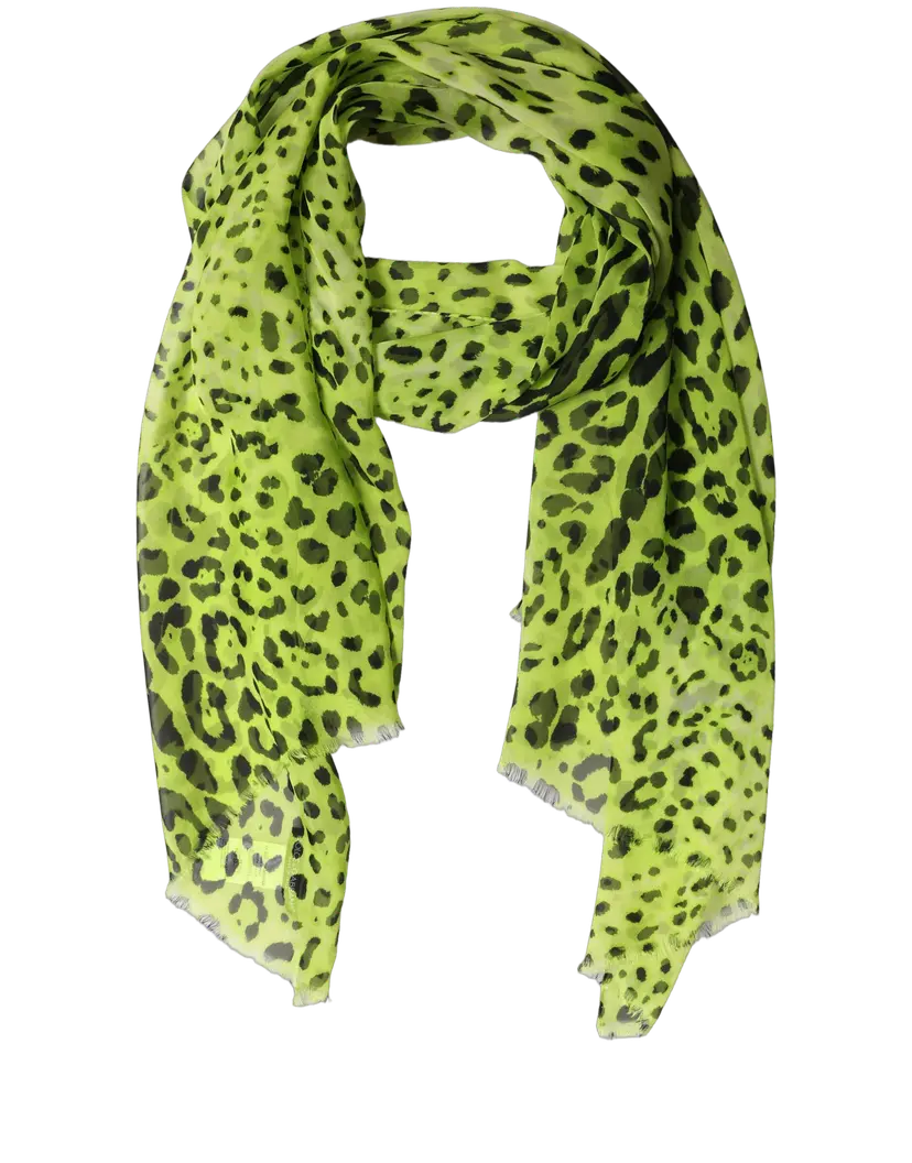 Dolce & Gabbana Dolce & Gabbana Skjerf – Grønn