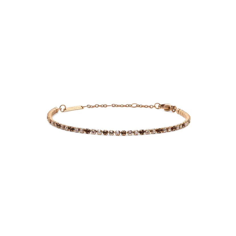 Daniel Wellington Rose Gold Bracelet Classic Tennis Honey Combo | DW