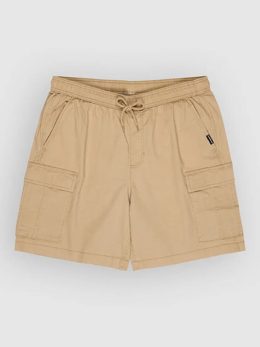Quiksilver Quiksilver Taxer Cargo Shorts brun