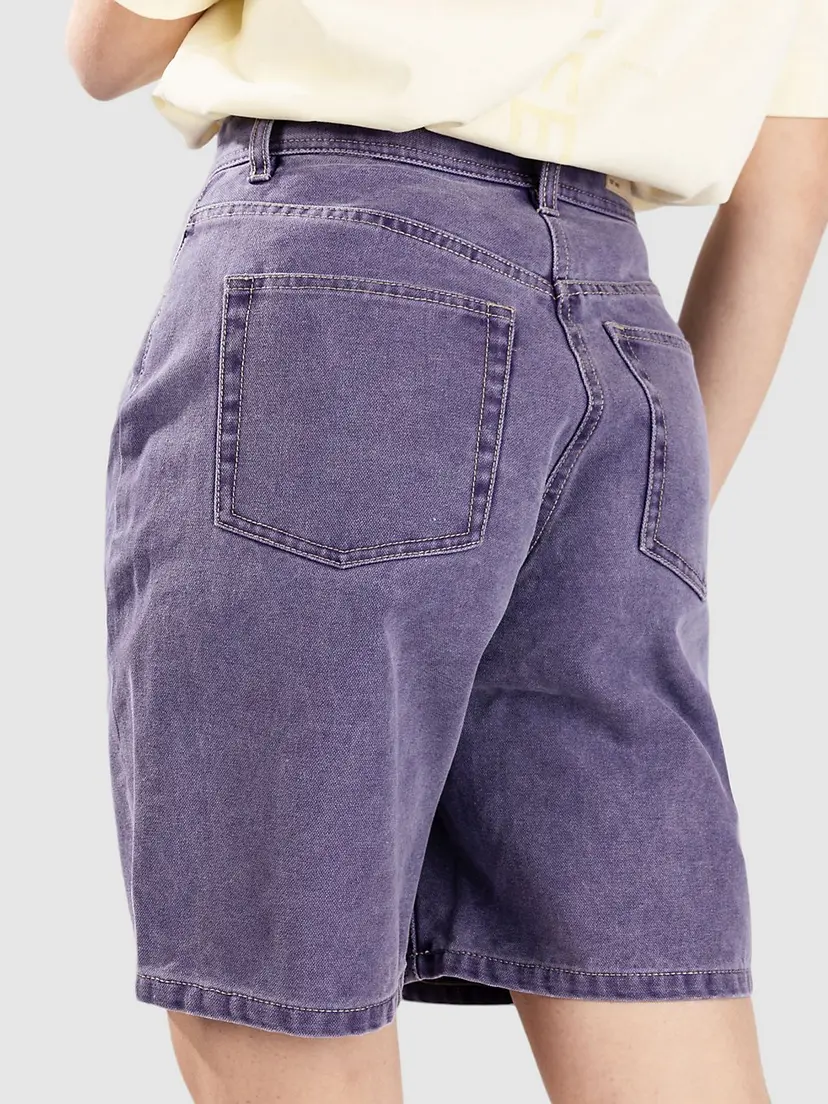 Element Element 365 Canvas Shorts