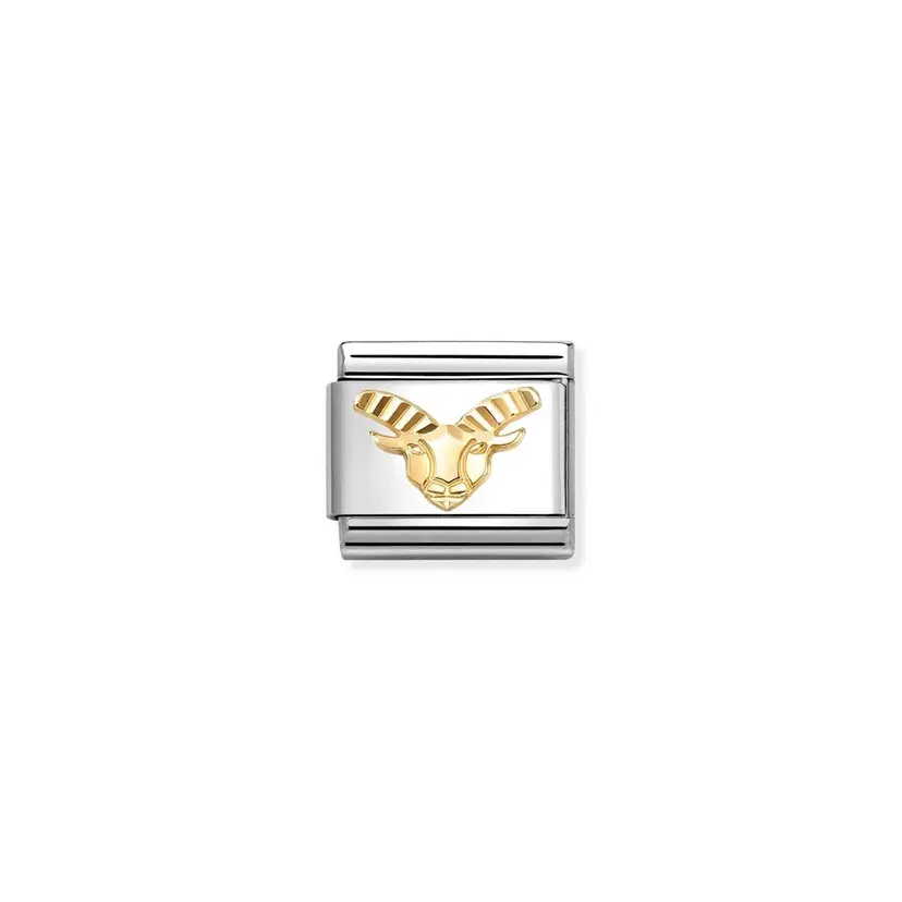 Nomination Diamond Cut Capricorn
