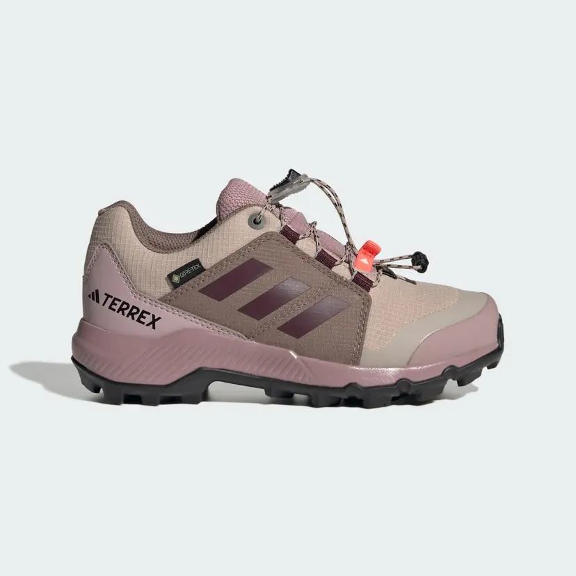 Adidas Terrex GORE-TEX Hiking Sko
