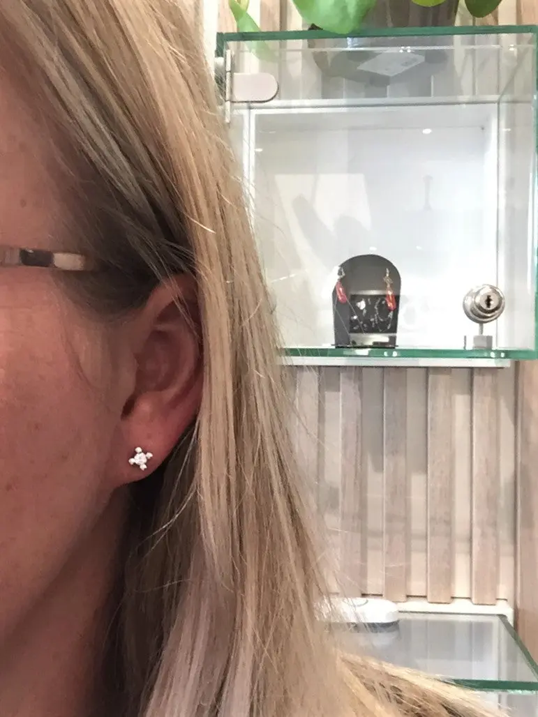 Lind Lind Øreringe - Solitaireørestikker med 2 x 0,15 ct brillanter