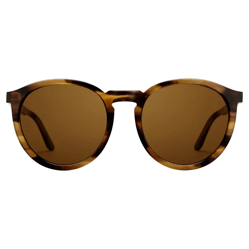 Daniel Wellington Brown Demi Eyewear Bio-acetate Arch | DW