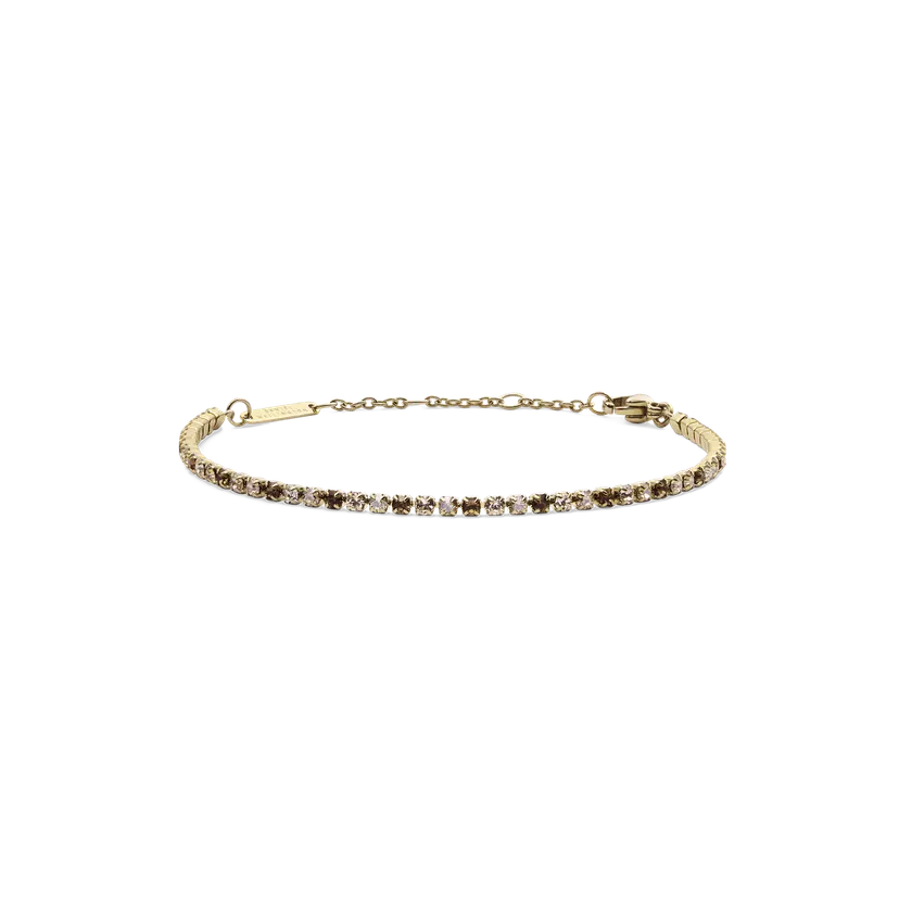 Daniel Wellington Gold Bracelet Classic Tennis Honey Combo | DW