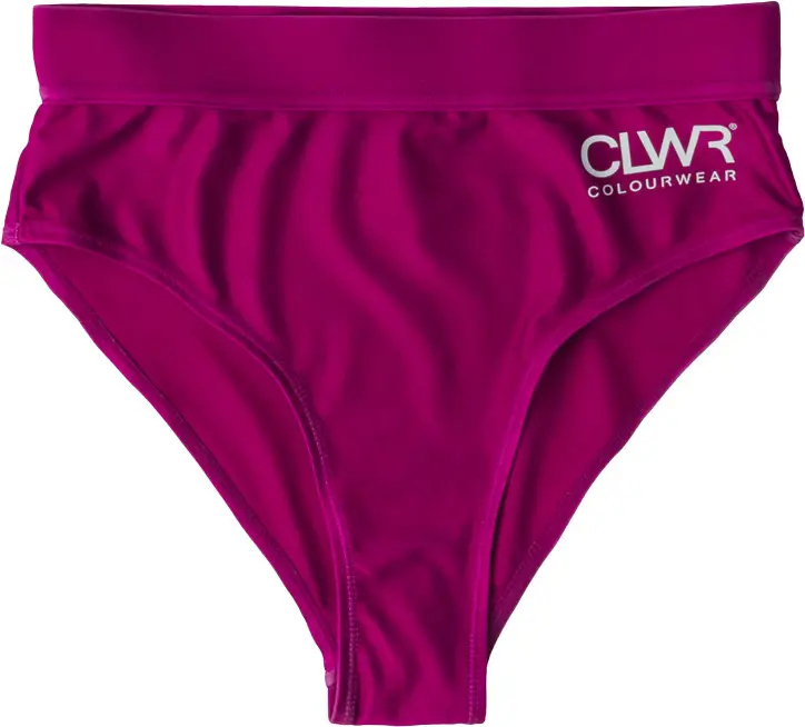 ColourWear ColourWear Women's High Waist Bikini Bottom Purple