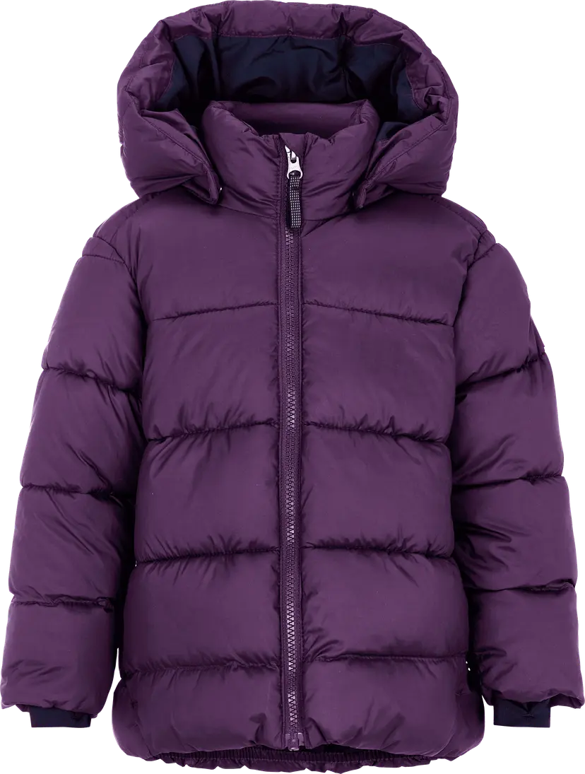 Didriksons Didriksons Kids' Roxen Jacket Northen Purple