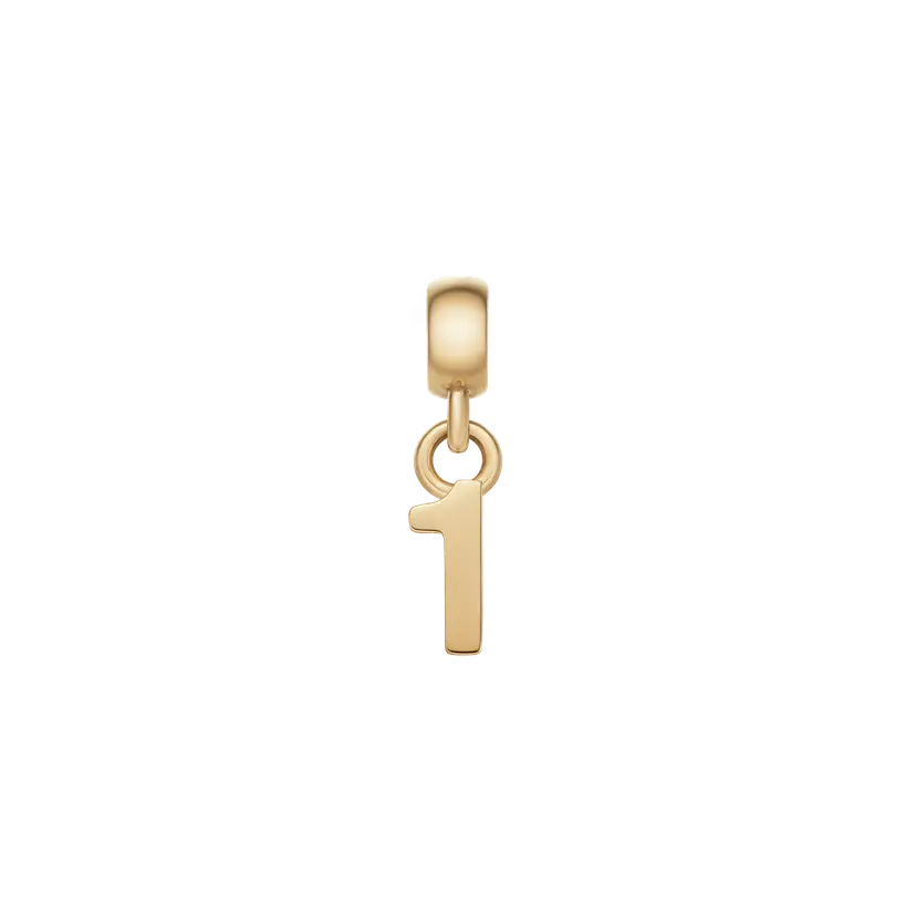 Daniel Wellington Gold Charm Number | DW