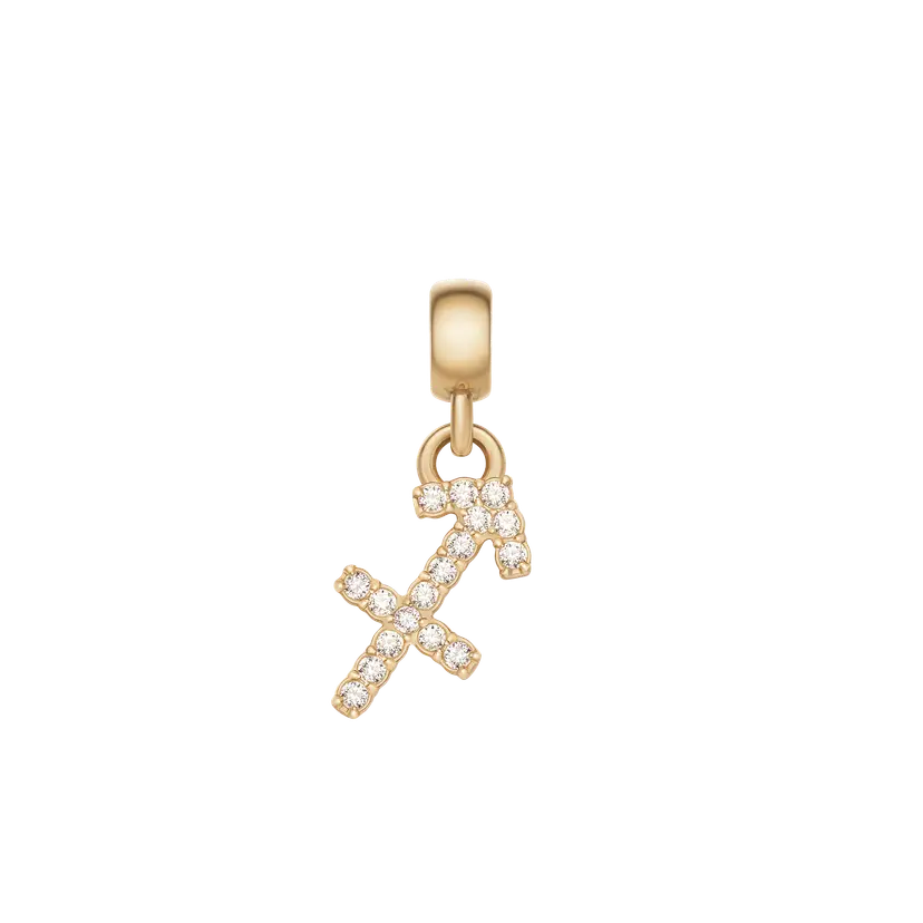 Daniel Wellington Gold Charm Crystal Zodiac | DW