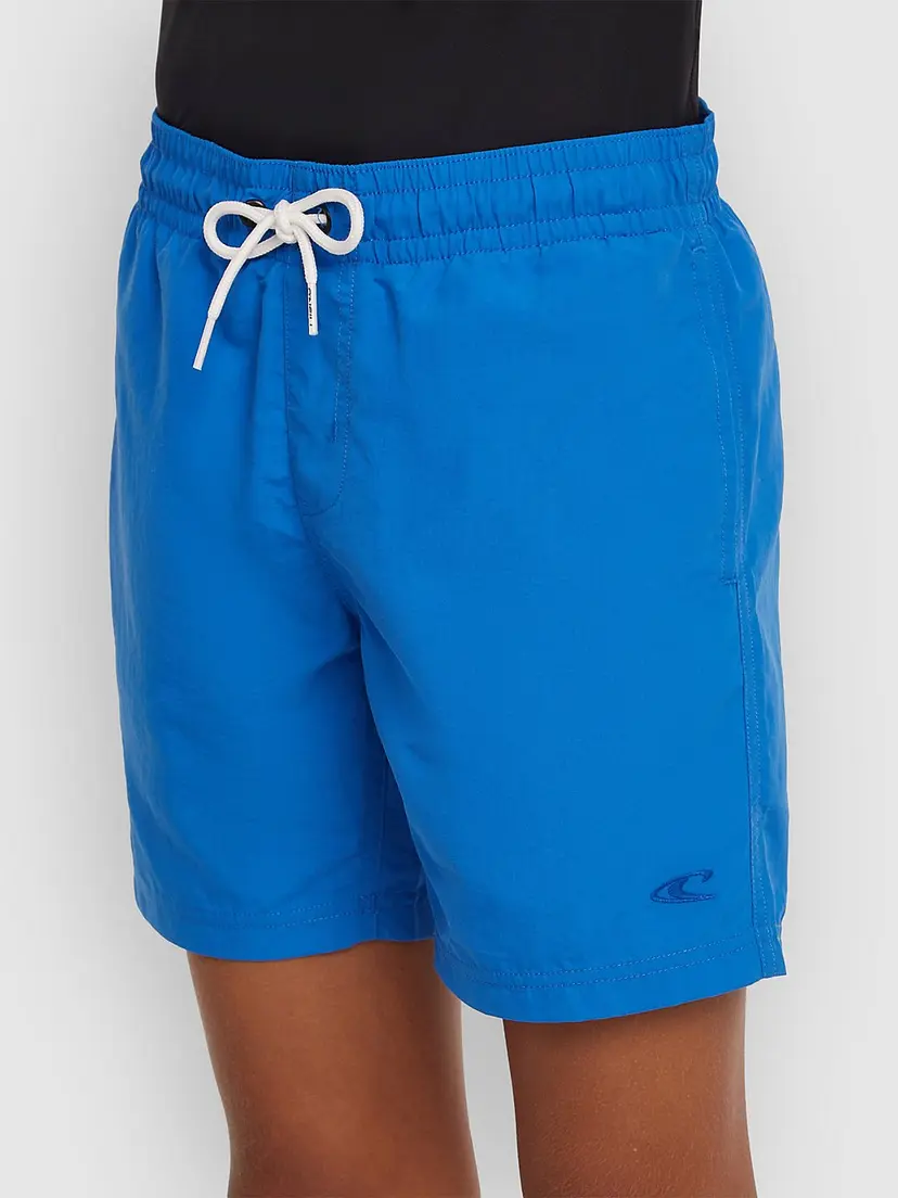 O'Neill O'Neill Vert Kids Boardshorts blå
