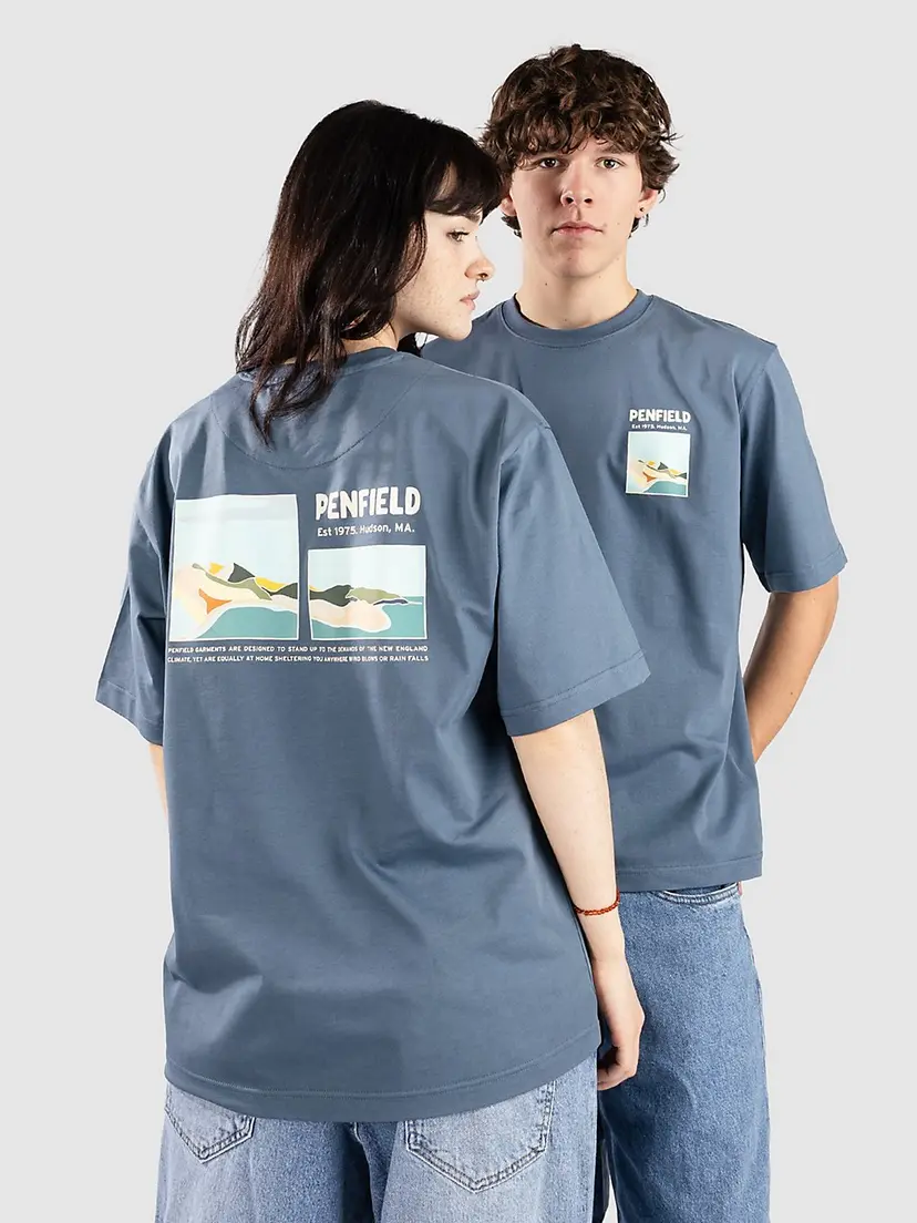 Penfield Penfield Block Landscape Graphic T-skjorte blå