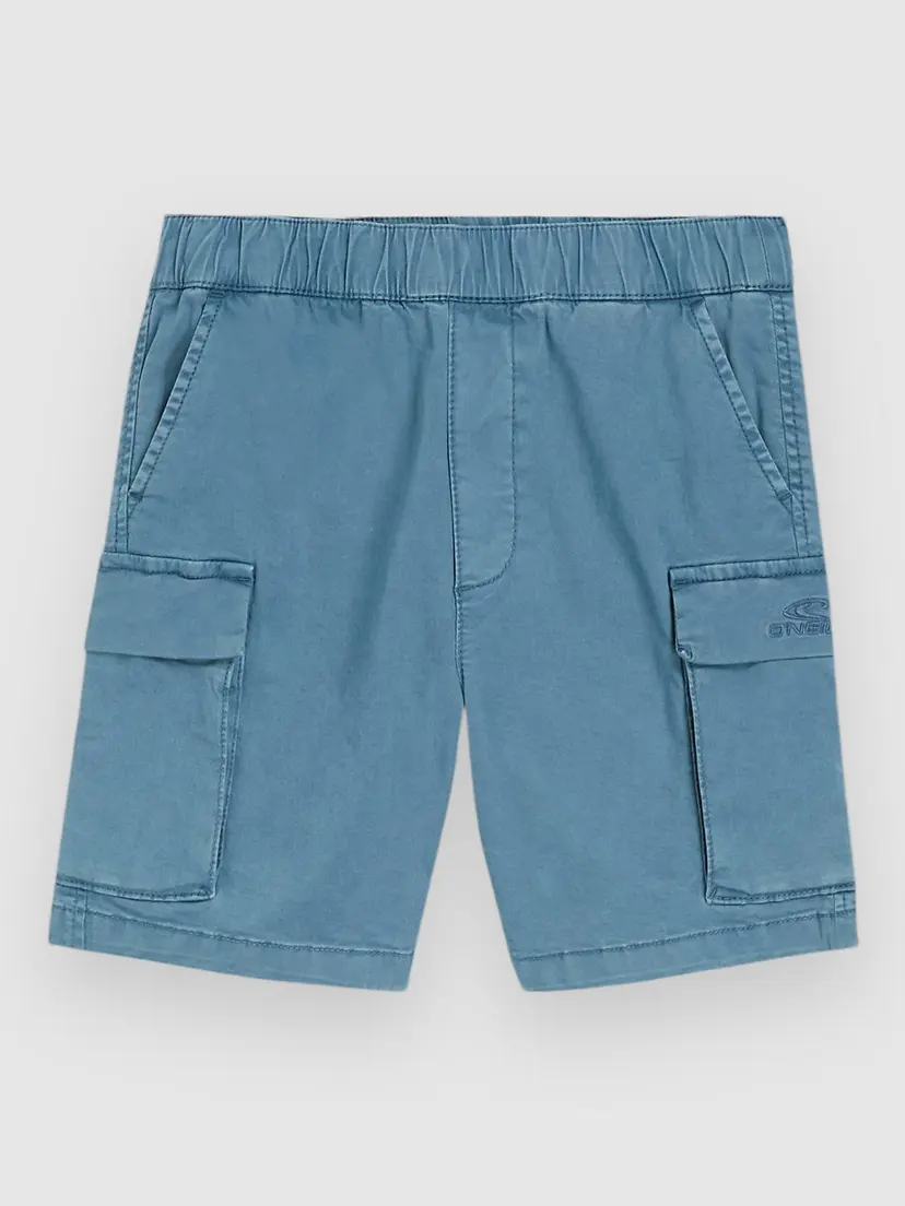 O'Neill O'Neill Cargo Kids Shorts blå