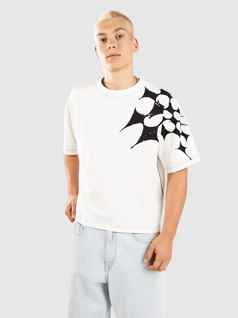Vans Vans Skate Splatter Web Short T-skjorte hvit