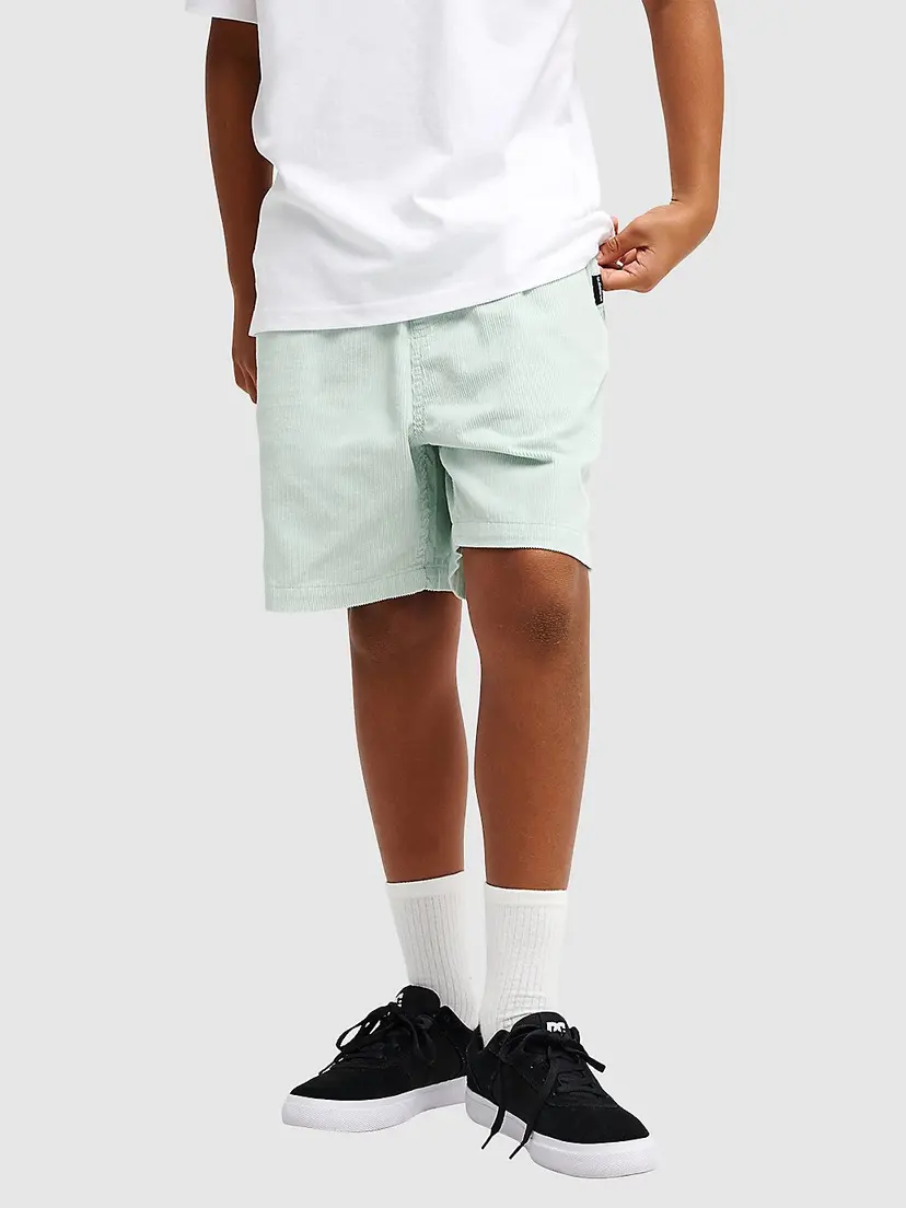 Quiksilver Quiksilver Taxer Cord Kids Shorts blå