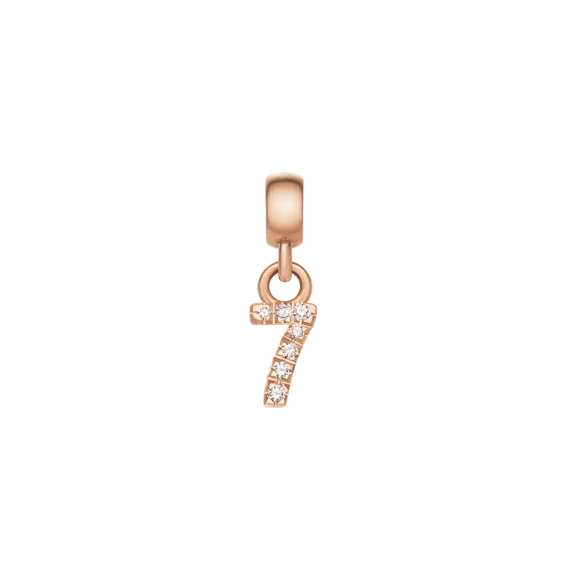 Daniel Wellington Rose Gold Charm Crystal Number | DW