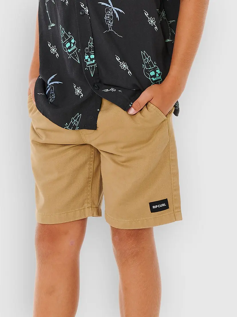 Rip Curl Rip Curl Epic Volley 2.0 Kids Shorts