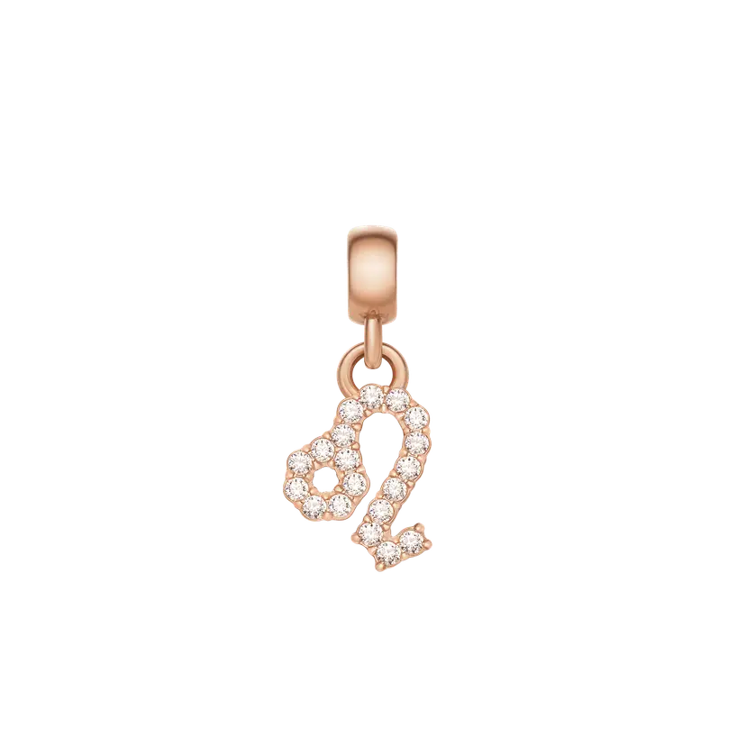 Daniel Wellington Rose Gold Charm Crystal Zodiac | DW