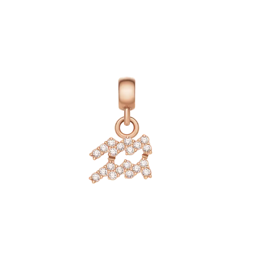 Daniel Wellington Rose Gold Charm Crystal Zodiac | DW