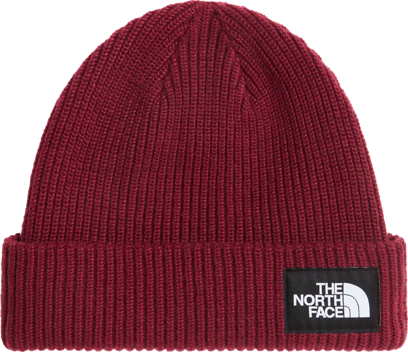 The North Face The North Face Salty Lined Beanie Burgundy Crush