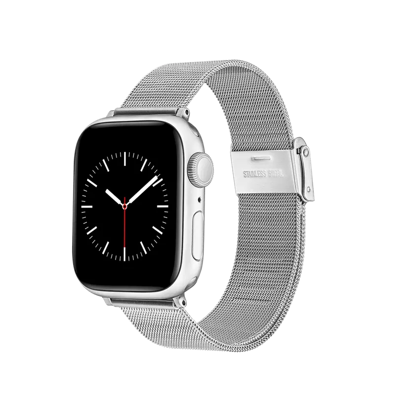 Daniel Wellington Silver Smartwatch Strap Mesh | DW