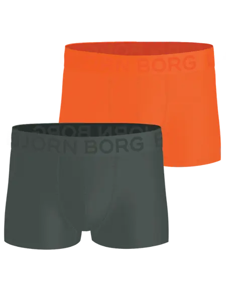 Björn Borg Sports Mesh Trunks 2-pack
