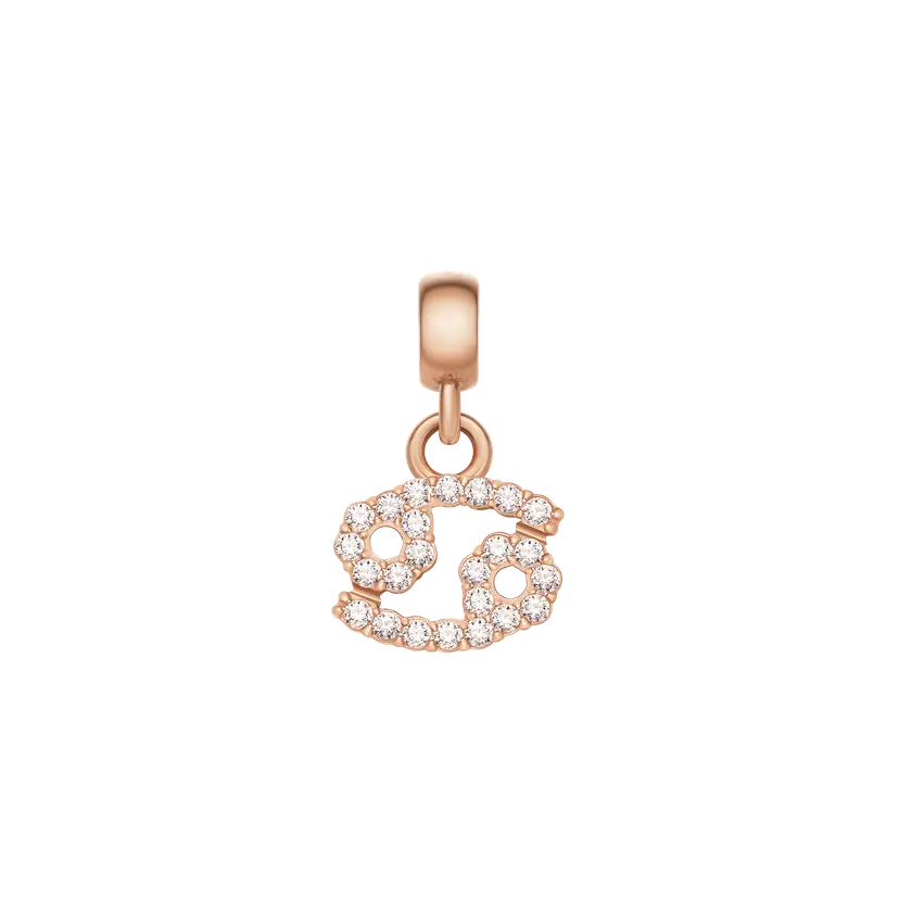 Daniel Wellington Rose Gold Charm Crystal Zodiac | DW